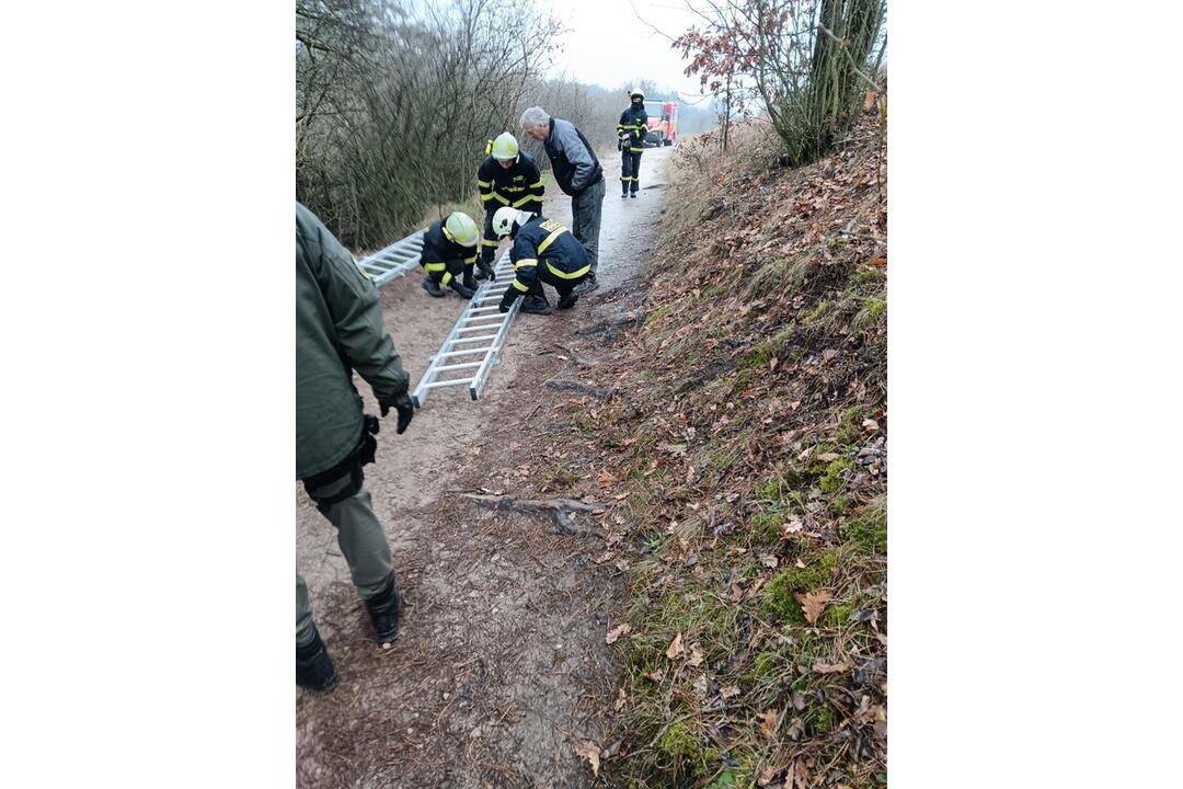 FOTO: Na Čachtickom hrade zasahovali hasiči aj Stráž prírody, hradný maskot zostal uväznený vysoko nad zemou, foto 1
