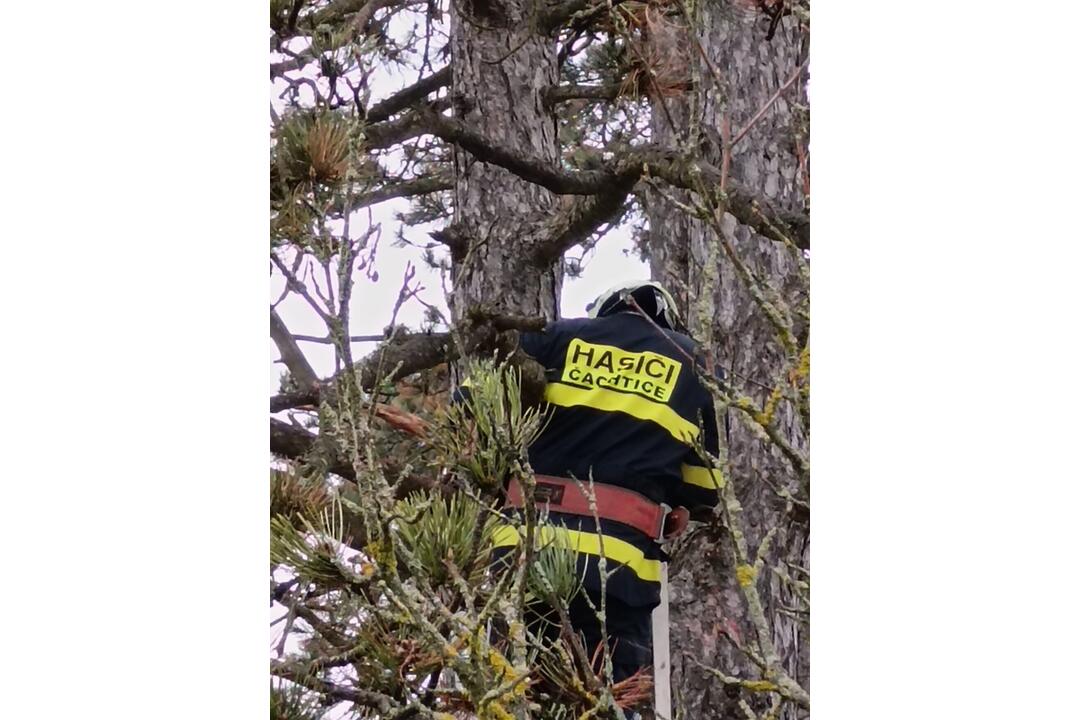 FOTO: Na Čachtickom hrade zasahovali hasiči aj Stráž prírody, hradný maskot zostal uväznený vysoko nad zemou, foto 4