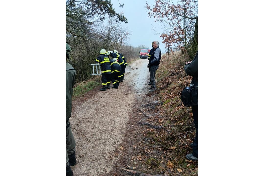FOTO: Na Čachtickom hrade zasahovali hasiči aj Stráž prírody, hradný maskot zostal uväznený vysoko nad zemou, foto 5