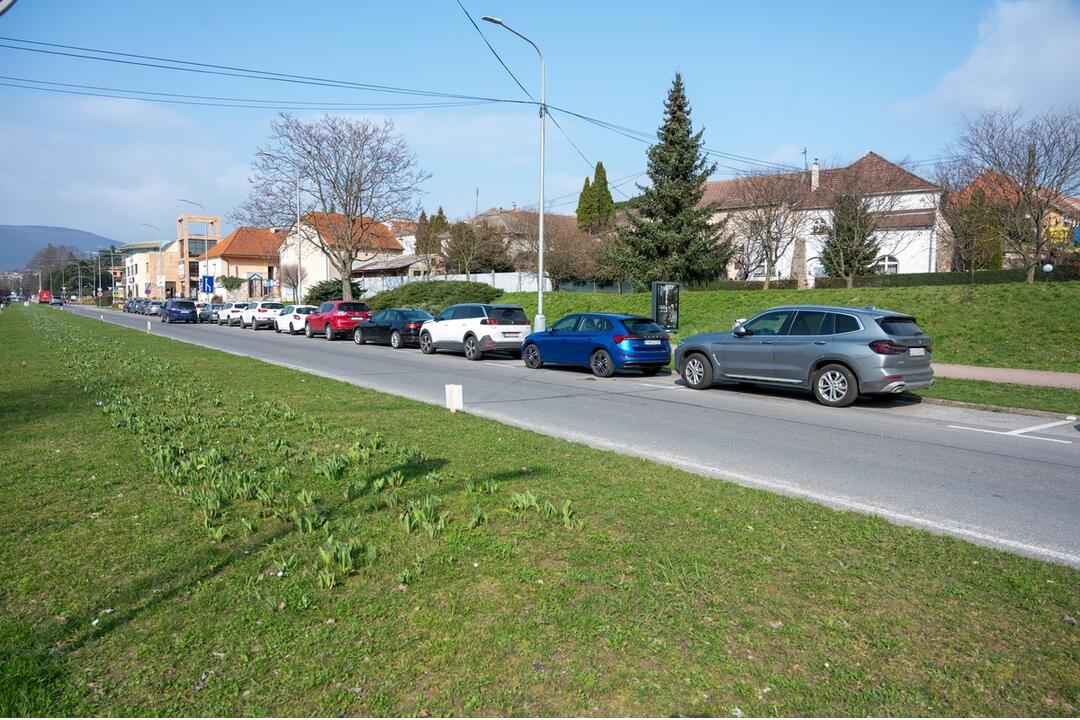 FOTO: Neuveriteľná arogancia. Vodiči si v Novom Meste nad Váhom ťažkú hlavu zo zákazu parkovania nerobili, foto 4