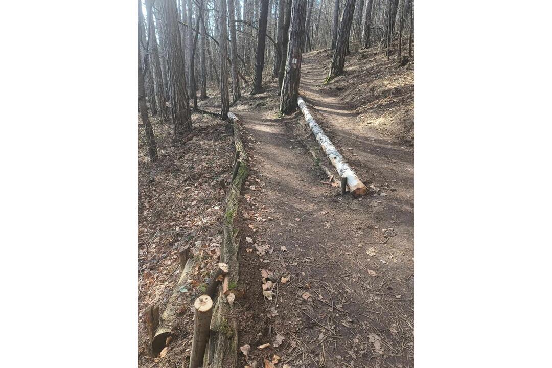 FOTO: V trenčianskom lesoparku rúbu stromy. Mesto tvrdí, že ide o každoročný ozdravný proces, foto 2