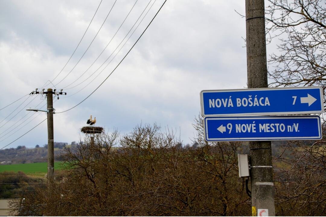 FOTO: Do Bošáce sa už vrátil Oliver. Miestni obyvatelia z neho nevedia oči spustiť, foto 2