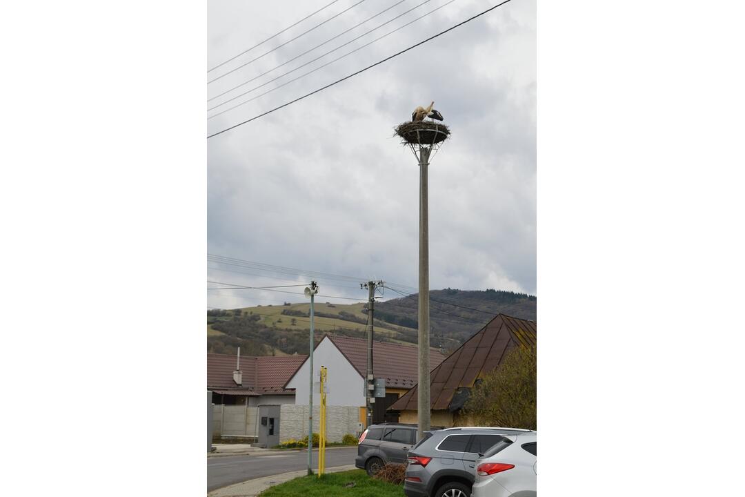 FOTO: Do Bošáce sa už vrátil Oliver. Miestni obyvatelia z neho nevedia oči spustiť, foto 3