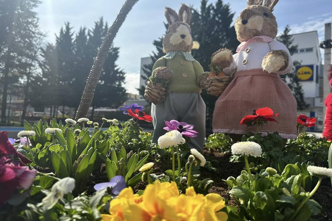 FOTO: Pozrite sa na tú nádheru. Mesto na Považí sa takto pripravilo na blížiace sa sviatky, foto 1