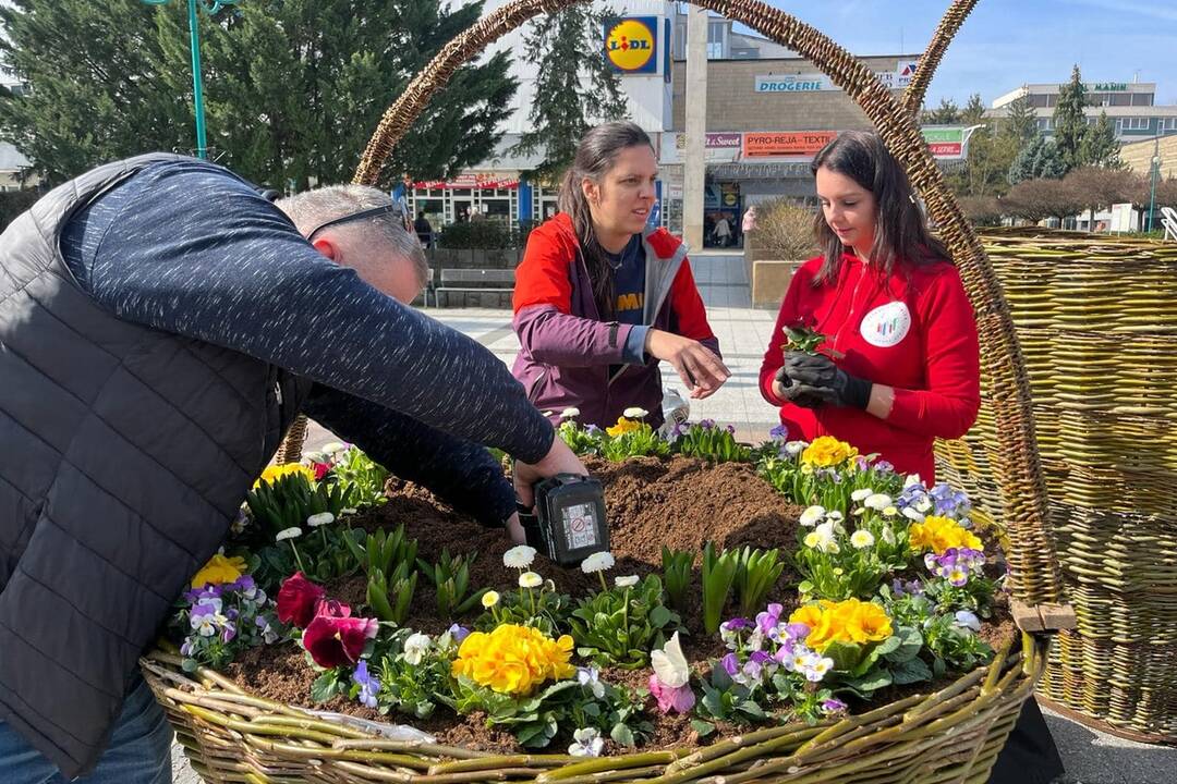 FOTO: Pozrite sa na tú nádheru. Mesto na Považí sa takto pripravilo na blížiace sa sviatky, foto 3