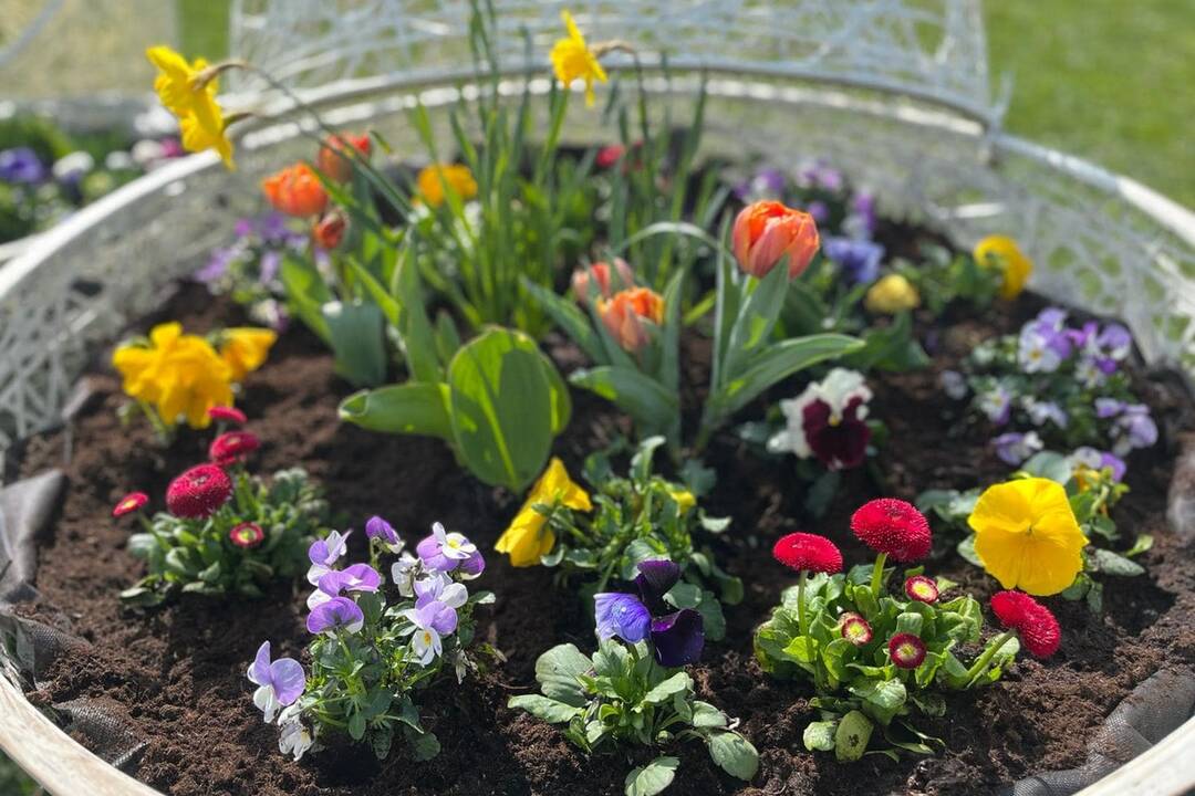 FOTO: Pozrite sa na tú nádheru. Mesto na Považí sa takto pripravilo na blížiace sa sviatky, foto 4