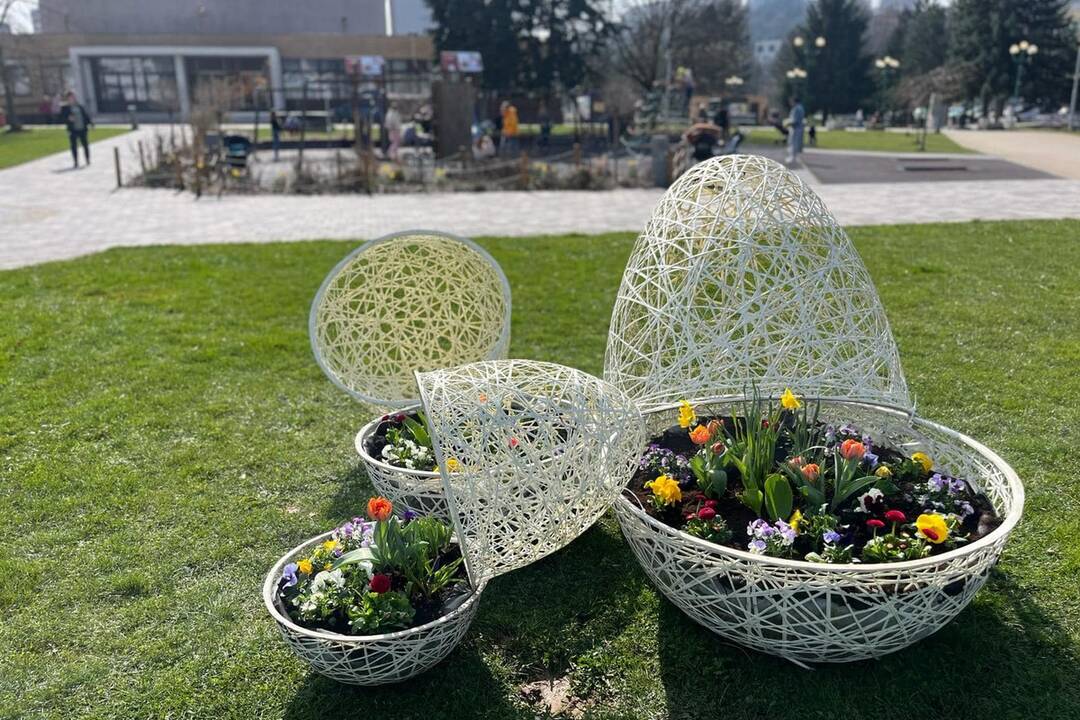 FOTO: Pozrite sa na tú nádheru. Mesto na Považí sa takto pripravilo na blížiace sa sviatky, foto 5