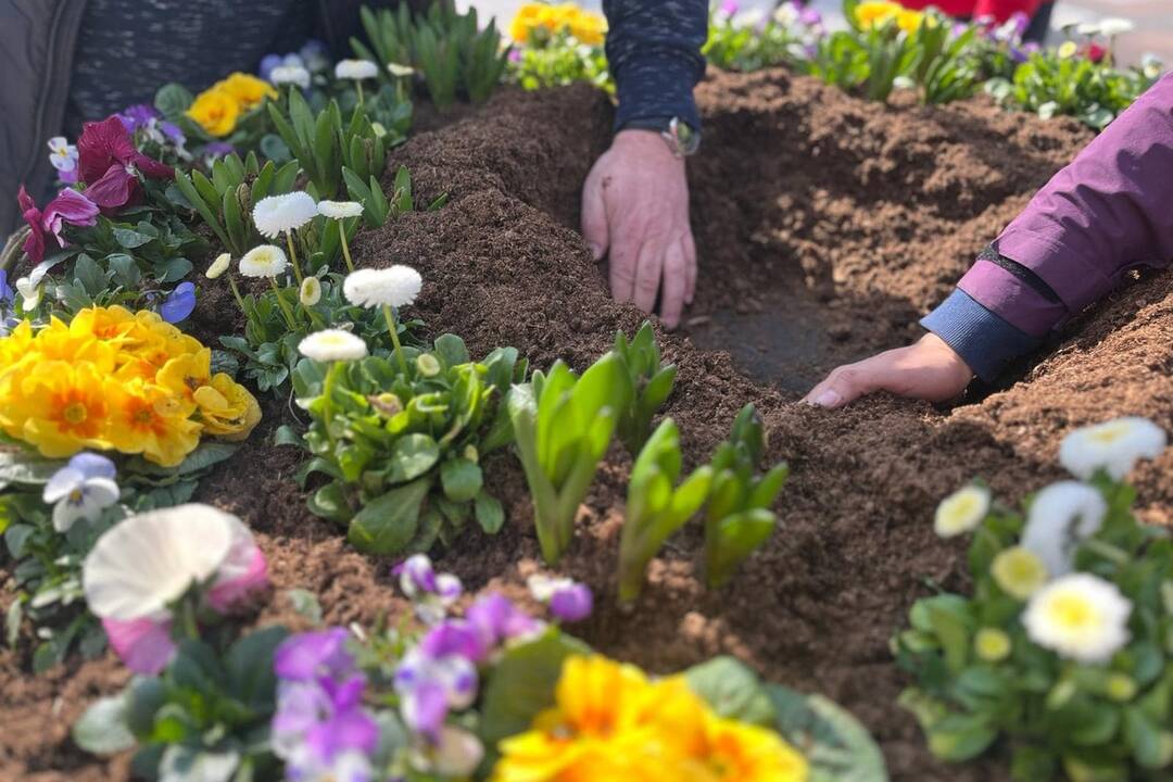 FOTO: Pozrite sa na tú nádheru. Mesto na Považí sa takto pripravilo na blížiace sa sviatky, foto 7