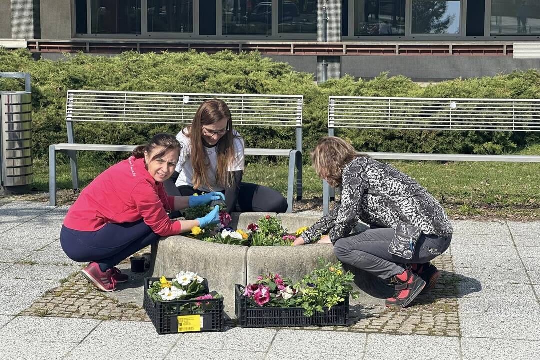 FOTO: Pozrite sa na tú nádheru. Mesto na Považí sa takto pripravilo na blížiace sa sviatky, foto 9