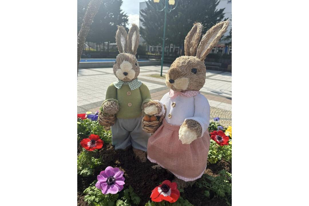 FOTO: Pozrite sa na tú nádheru. Mesto na Považí sa takto pripravilo na blížiace sa sviatky, foto 10