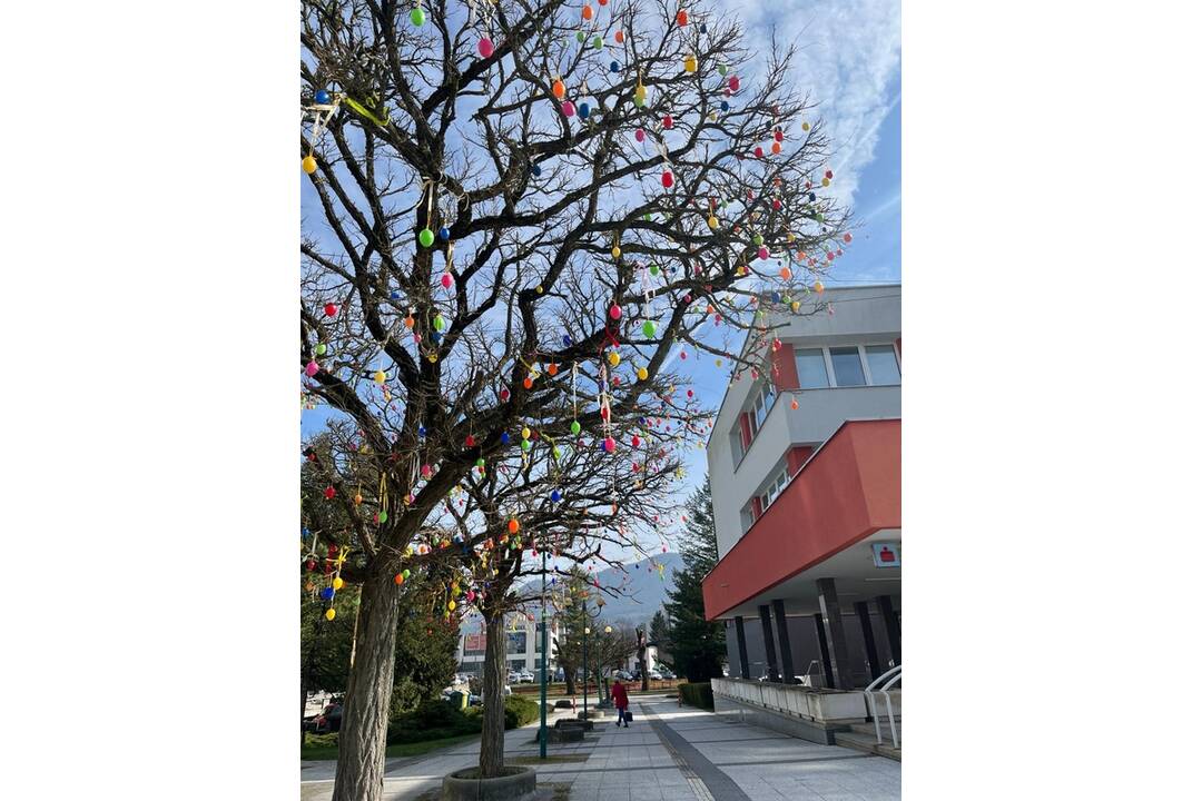 FOTO: Pozrite sa na tú nádheru. Mesto na Považí sa takto pripravilo na blížiace sa sviatky, foto 11