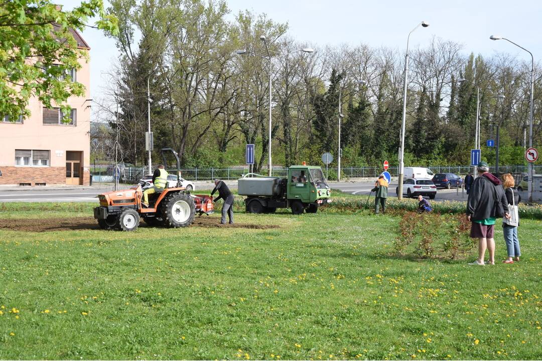 FOTO: Rozkvitnutý Trenčín, foto 1