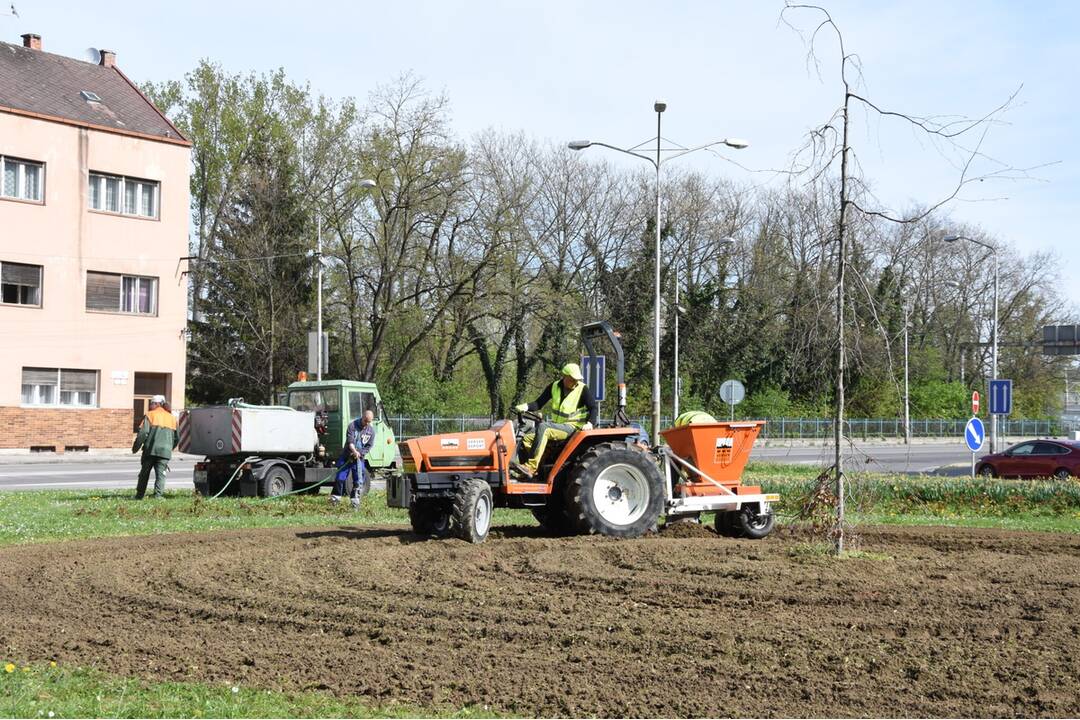 FOTO: Rozkvitnutý Trenčín, foto 3