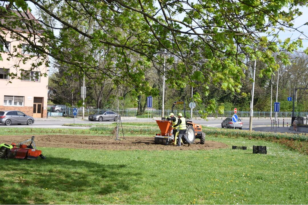 FOTO: Rozkvitnutý Trenčín, foto 4