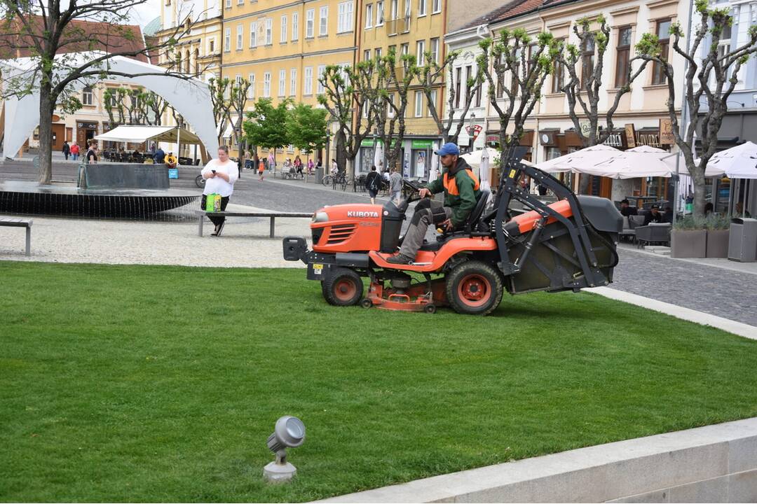 FOTO: V Trenčíne sa začalo celoplošné kosenie, foto 1
