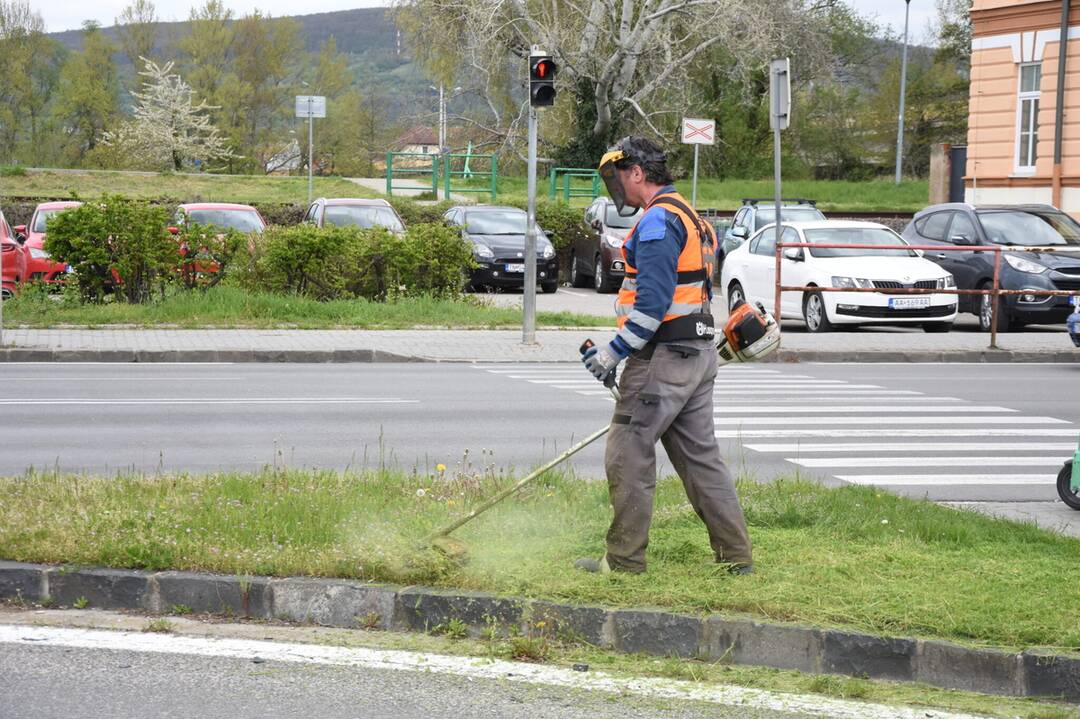 FOTO: V Trenčíne sa začalo celoplošné kosenie, foto 3