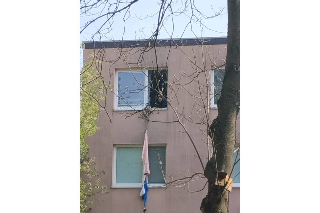 FOTO: Na sídlisku Juh v Trenčíne bolo rušno, foto 2