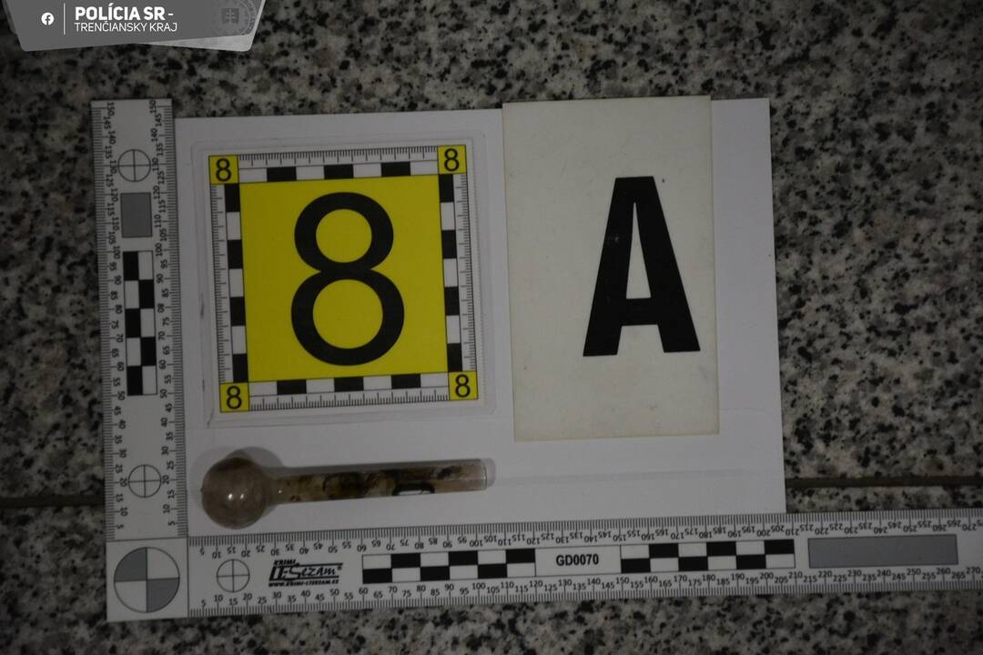 FOTO: Stopka drogovému biznisu. Policajti zadržali dvojicu dílerov, foto 3