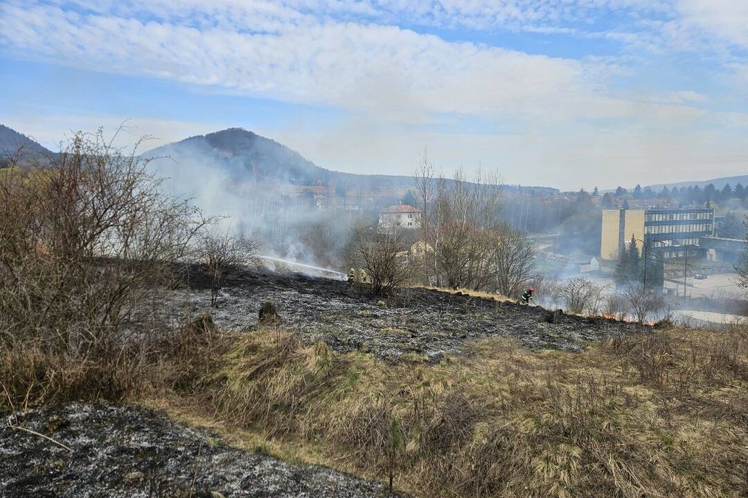 FOTO: Marcové zásahy hasičov. Stovky výjazdov a uchránený majetok za státisíce, foto 8