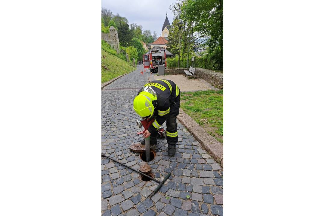 FOTO: Na Trenčianskom hrade zasahovali hasiči. Dostať sa tam s technikou je ale riadna fuška , foto 8