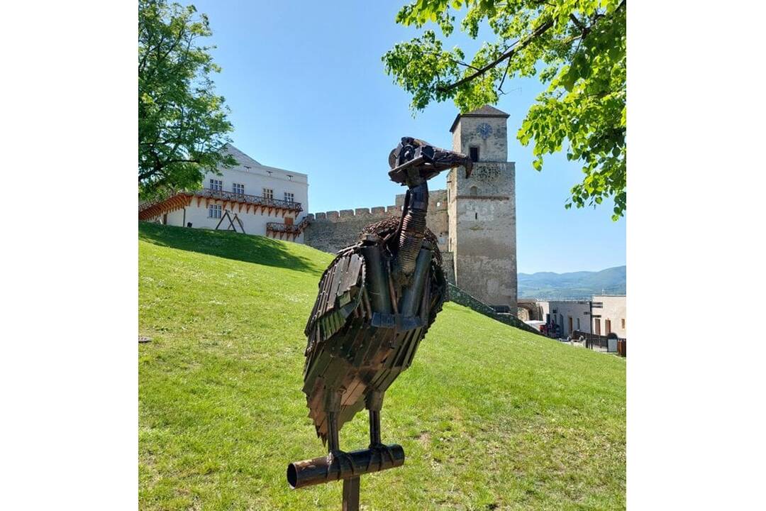 FOTO: KOVOZOO , foto 2