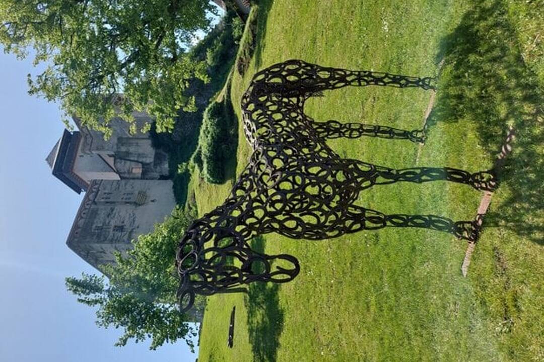 FOTO: KOVOZOO , foto 4