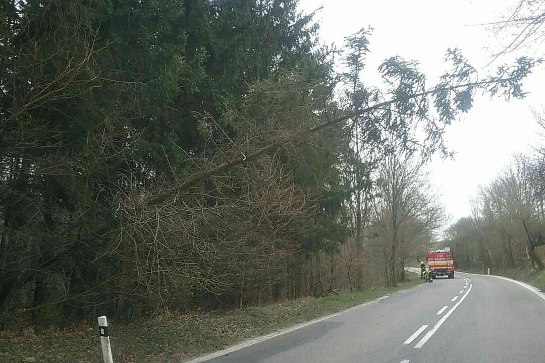 FOTO: Zásahy hasičov v Trenčianskom kraji v mesiaci apríl boli najmä vo forme technickej pomoci, foto 7