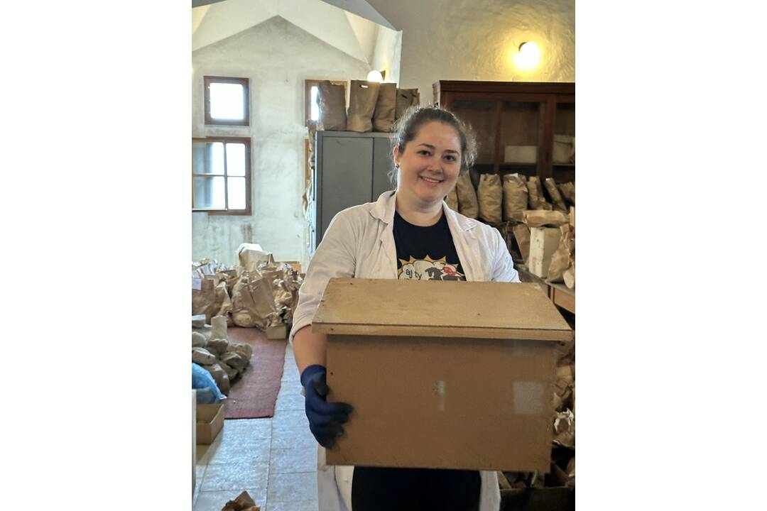 FOTO: Vypratávanie prvého poschodia Barborinho paláca, foto 6