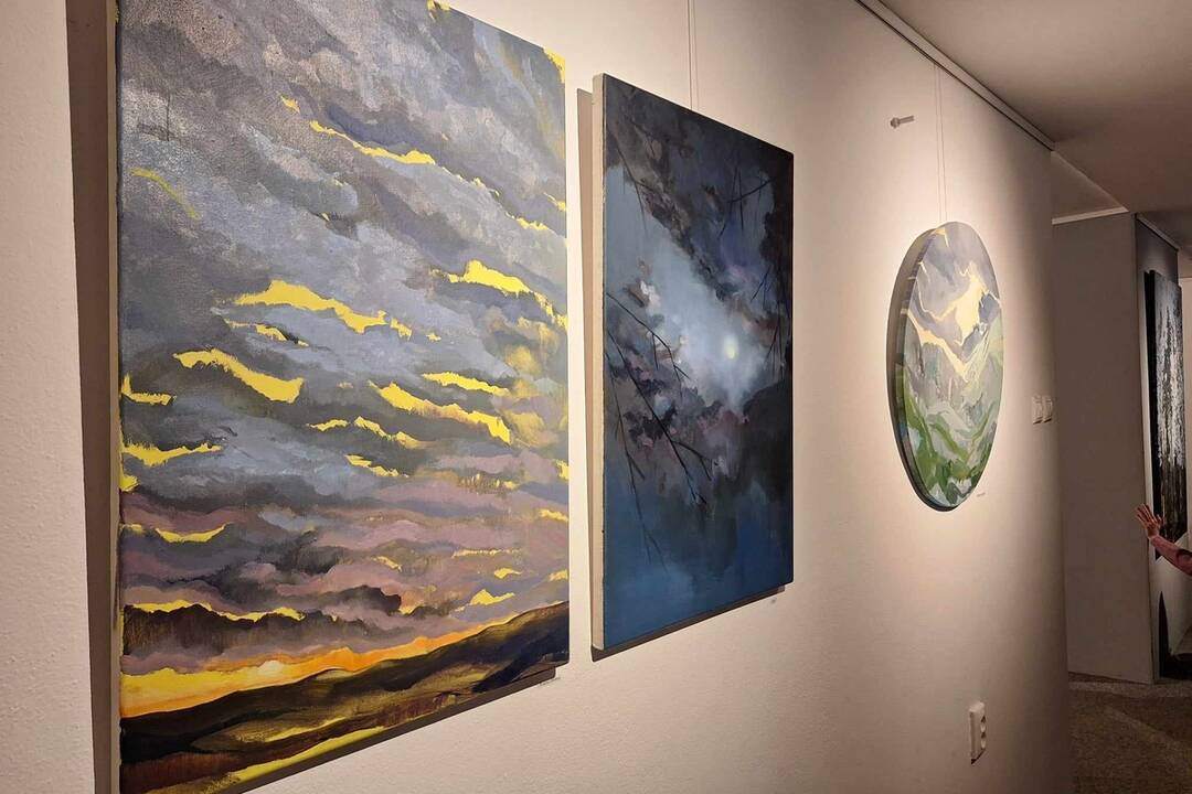 FOTO: Najnovšia výstava v MG ART Galéria v Považskej Bystrici rozpráva mnoho príbehov. Autorom je Zoltán Agócs, foto 12