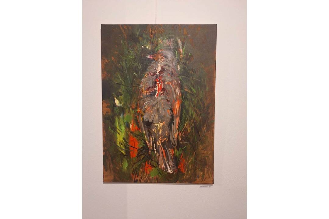 FOTO: Najnovšia výstava v MG ART Galéria v Považskej Bystrici rozpráva mnoho príbehov. Autorom je Zoltán Agócs, foto 16