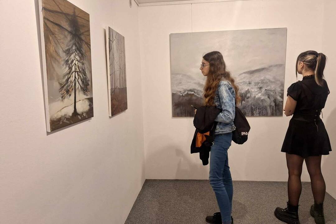 FOTO: Najnovšia výstava v MG ART Galéria v Považskej Bystrici rozpráva mnoho príbehov. Autorom je Zoltán Agócs, foto 17