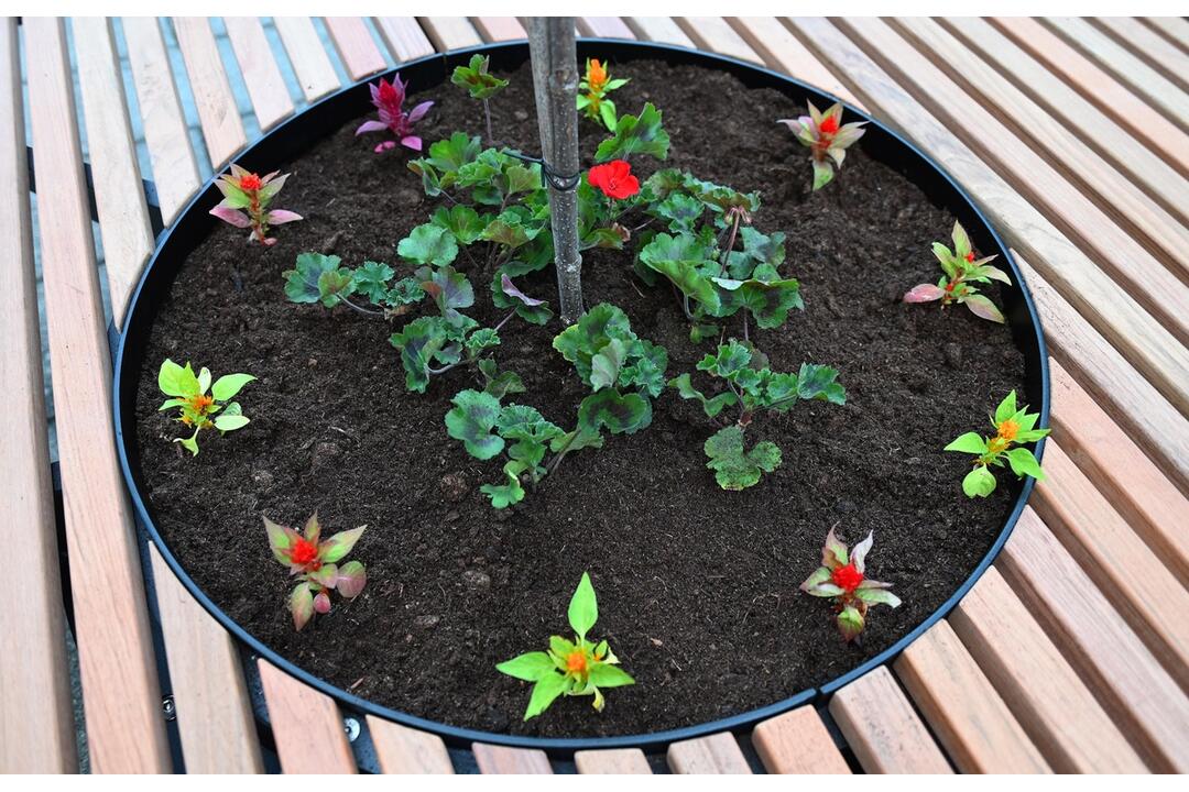 FOTO: V Trenčianskych Tepiciach chcú byť bez cigaretového dymu. V meste vyrástla nová oddychová zóna, foto 9