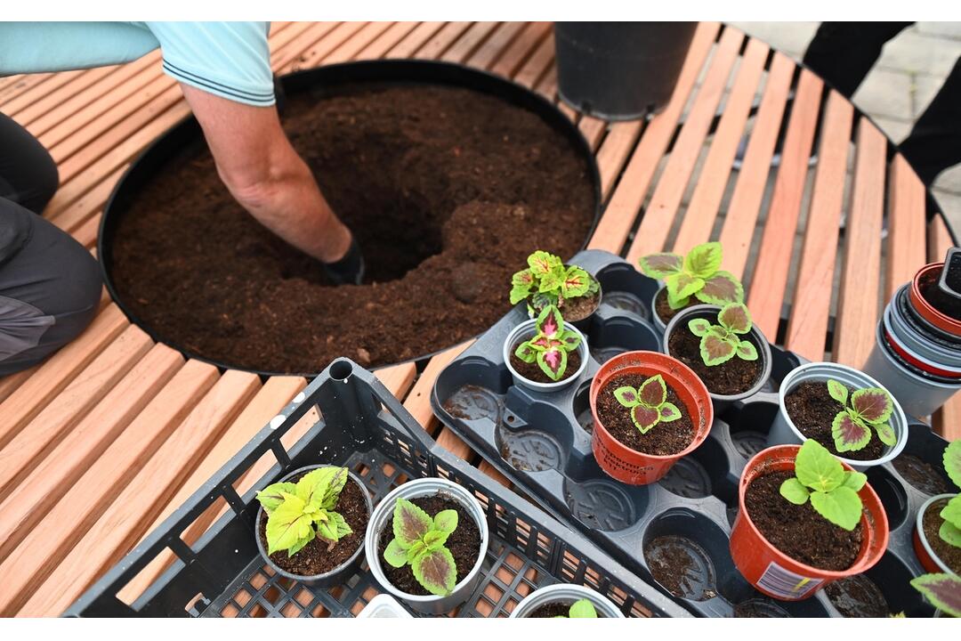 FOTO: V Trenčianskych Tepiciach chcú byť bez cigaretového dymu. V meste vyrástla nová oddychová zóna, foto 8