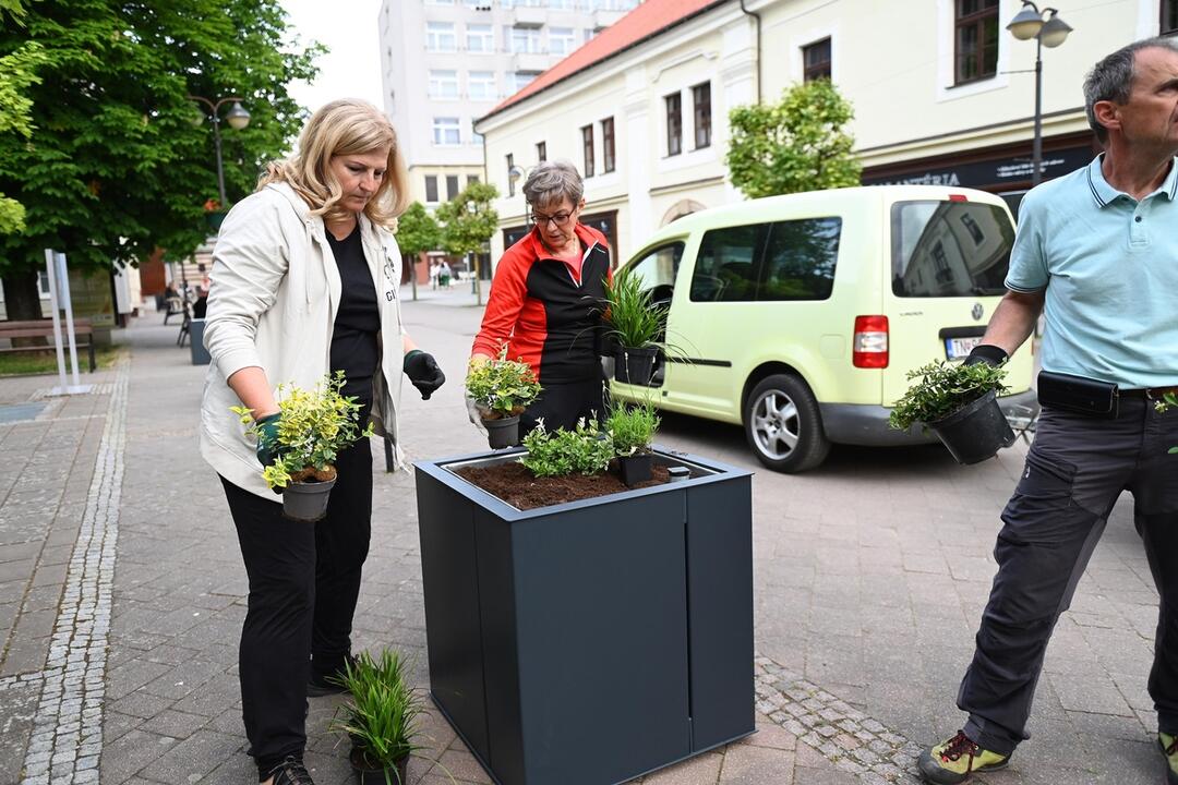 FOTO: V Trenčianskych Tepiciach chcú byť bez cigaretového dymu. V meste vyrástla nová oddychová zóna, foto 12