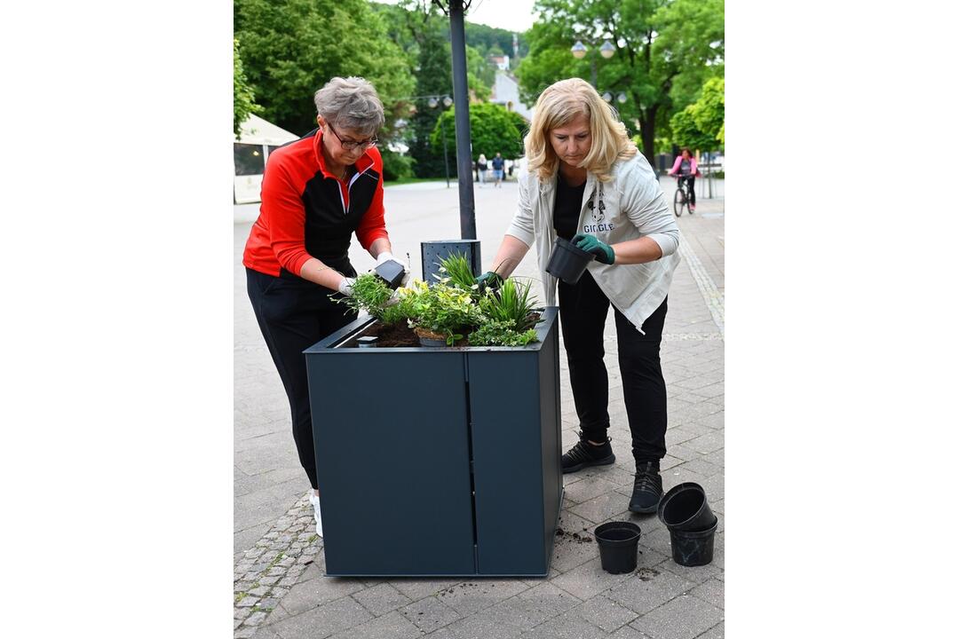 FOTO: V Trenčianskych Tepiciach chcú byť bez cigaretového dymu. V meste vyrástla nová oddychová zóna, foto 14