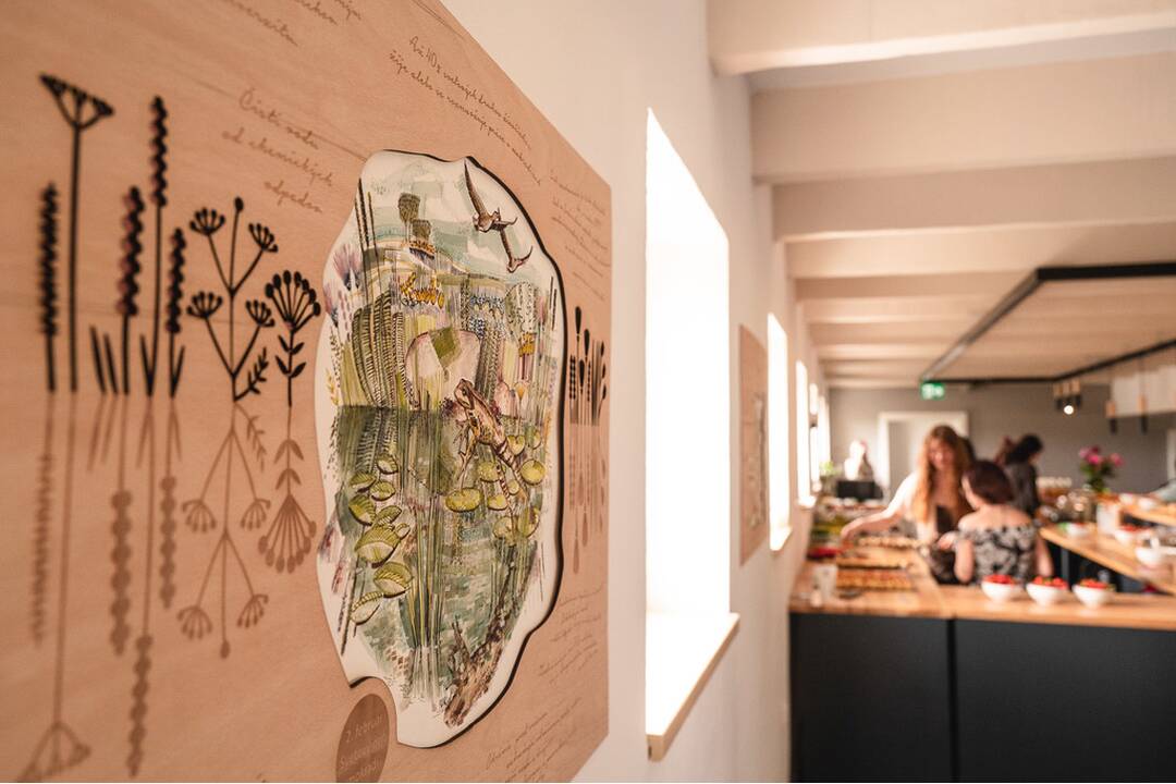 FOTO: Pri Novom Meste nad Váhom vyrástlo nové ekocentrum, foto 11