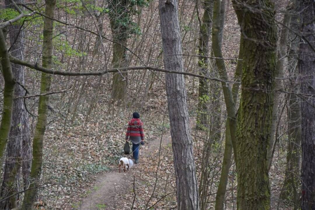 FOTO: Mesto vyzýva návštevníkov Breziny na ohľaduplnosť , foto 2