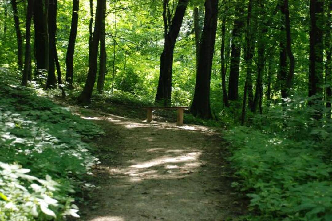 FOTO: Mesto vyzýva návštevníkov Breziny na ohľaduplnosť , foto 5