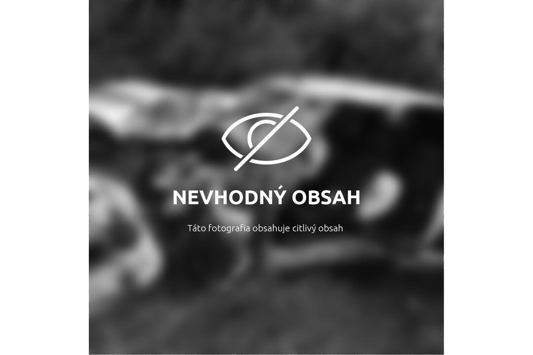 FOTO: Tragická dopravná nehoda hasičov a policajtov na diaľnici D1 pri Novom Meste nad Váhom, foto 1