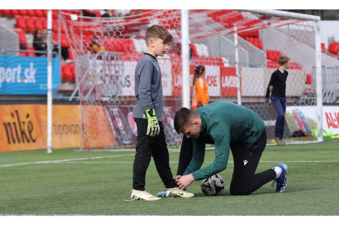 FOTO: začína sa výmena trávnika, foto 3