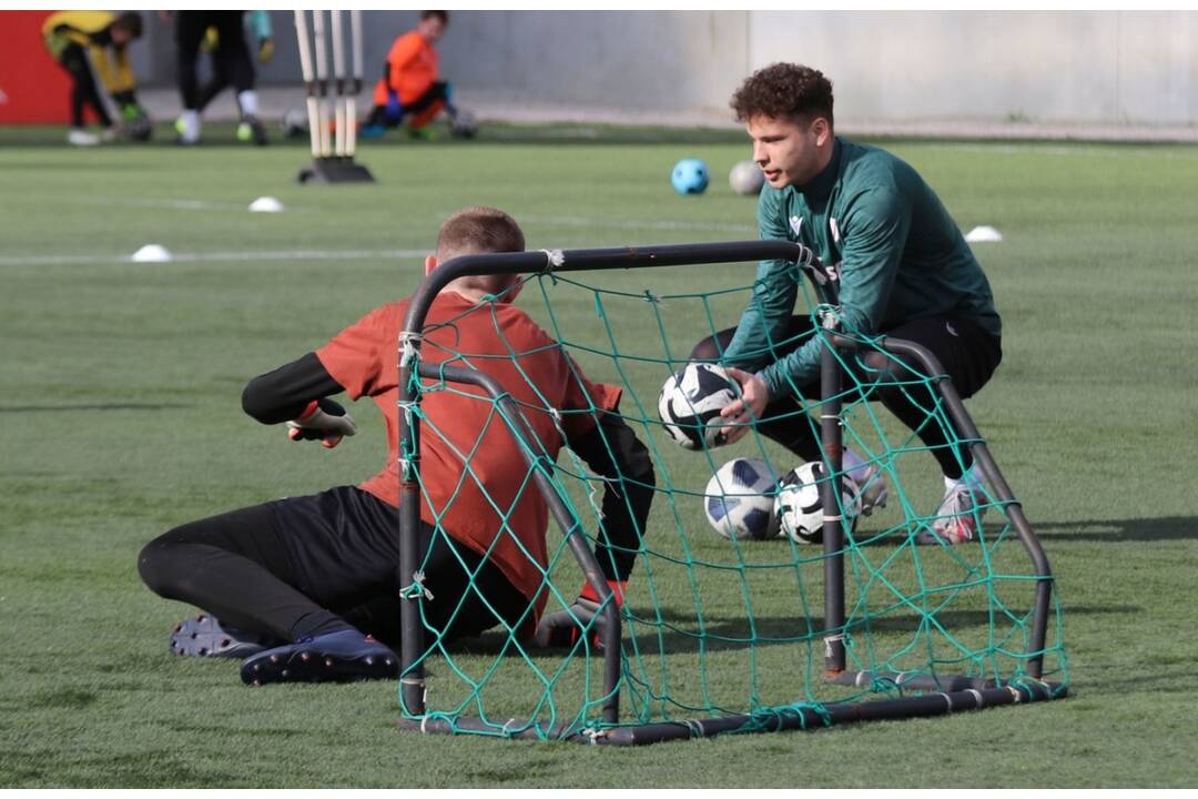 FOTO: začína sa výmena trávnika, foto 4