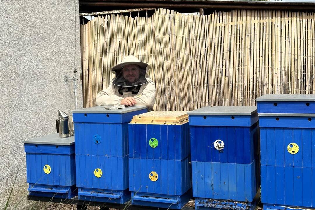 FOTO: Mesto Dubnica nad Váhom má svoj prvý med, foto 4