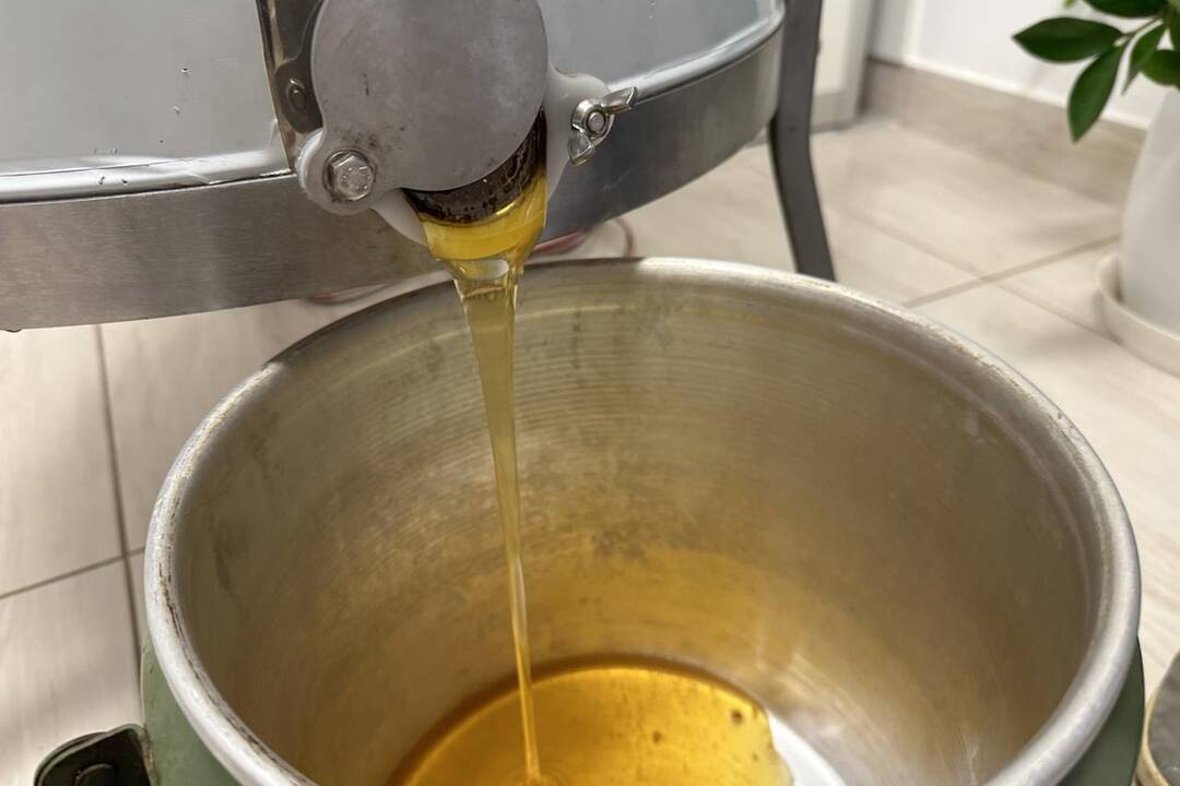 FOTO: Mesto Dubnica nad Váhom má svoj prvý med, foto 2