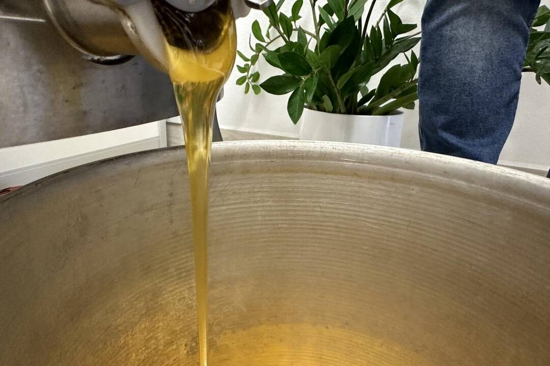 FOTO: Mesto Dubnica nad Váhom má svoj prvý med, foto 6