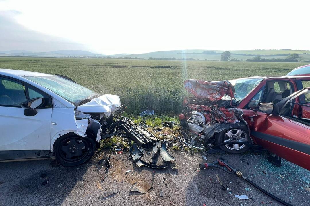 FOTO: Cesta je neprejazdná, dopravu riadia policajti, foto 4