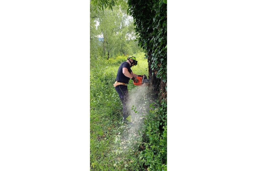 FOTO: Dažde spôsobili škody na majetkoch aj úrodách ľudí, foto 4