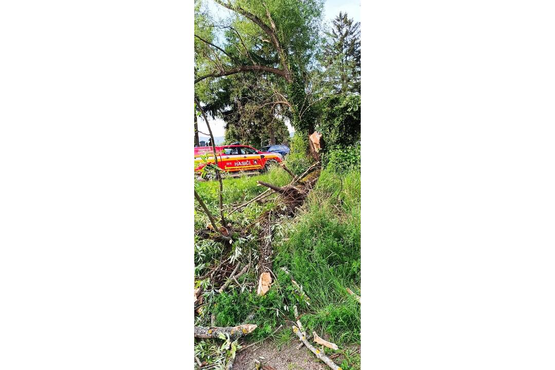 FOTO: Dažde spôsobili škody na majetkoch aj úrodách ľudí, foto 6