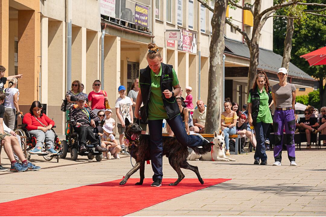 FOTO: Módna prehliadka v Púchove zaplnila pešiu zónu. Študenti prezentovali vlastnoručne ušité modely, foto 10