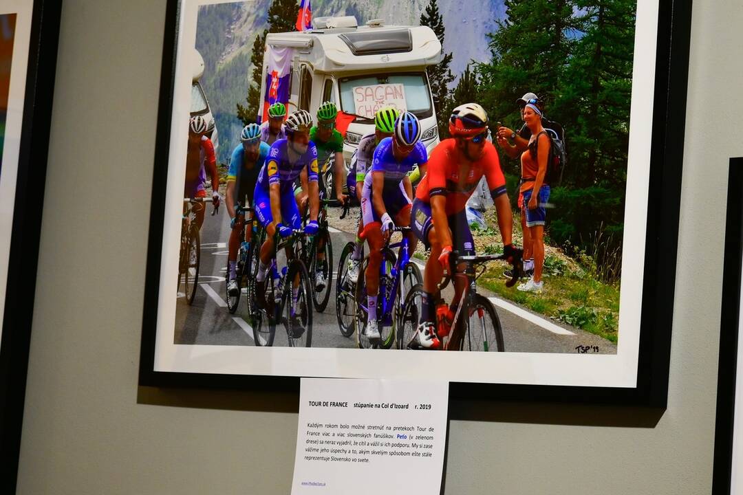 FOTO: Aktuálne výstavy v meste Trenčín, foto 6