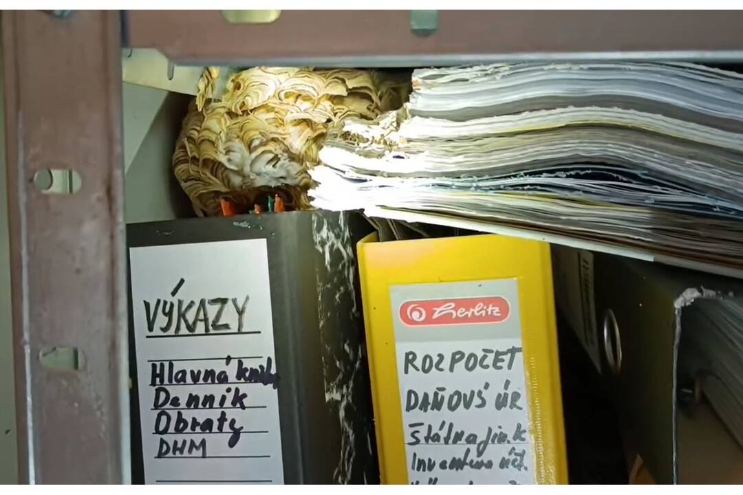 FOTO: hasiči zlikvidovali hniezdo, foto 1